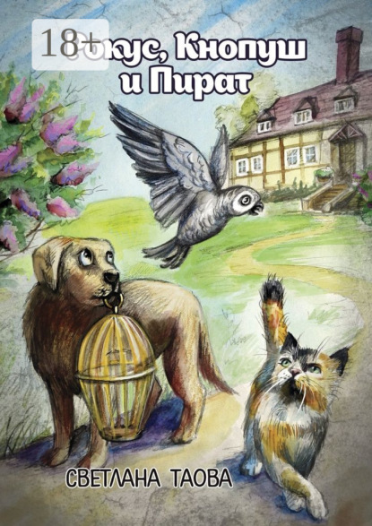 Рокус, Кнопуш и Пират
Рокус, Кнопуш и Пират