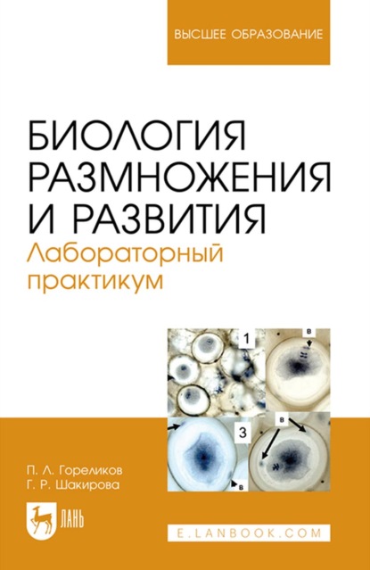 Биология размножения и развития. Лабораторный практикум. Учебно-методическое пособие для вузов
Биология размножения и развития. Лабораторный практикум. Учебно-методическое пособие для вузов