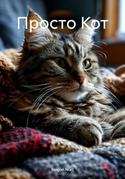 Просто Кот
Просто Кот