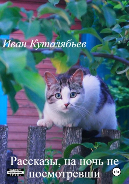 Рассказы, на ночь не посмотревши
Рассказы, на ночь не посмотревши