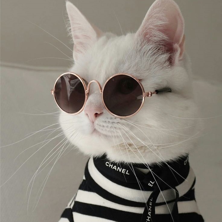 А. Никл