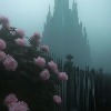 Агния Чеботарь