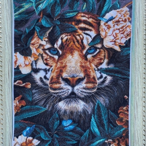Колядина Марина