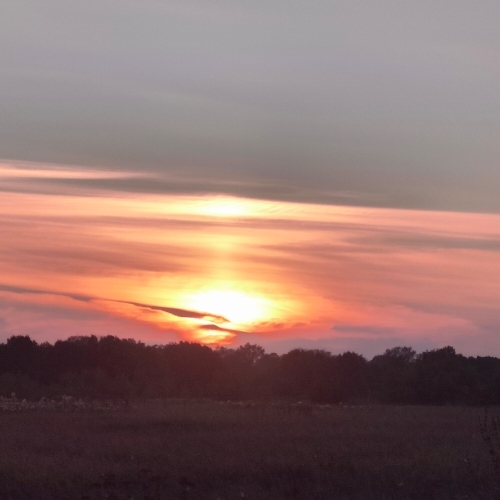 Оксана Voeykova