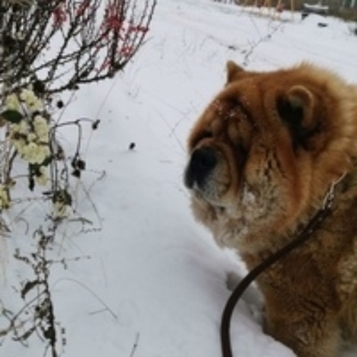 Юлия Рамазанова