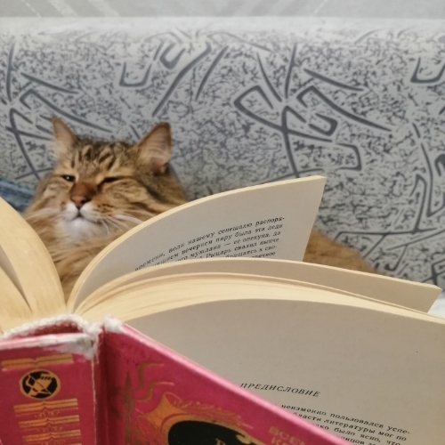 Татьяна Петрова