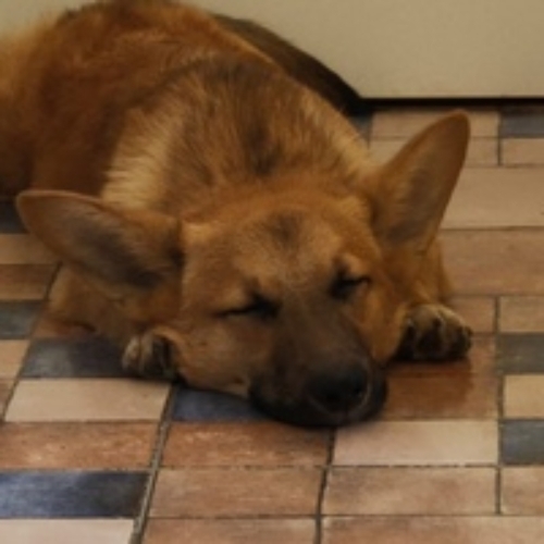 Тая Рыбакова