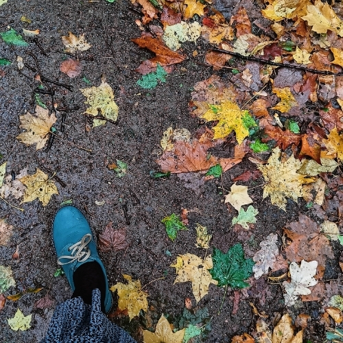 Надежда Бирюкова