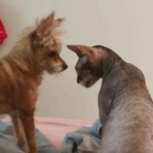 Дмитрий Мельник