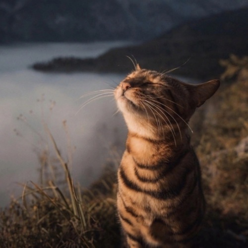 Яна Козлова