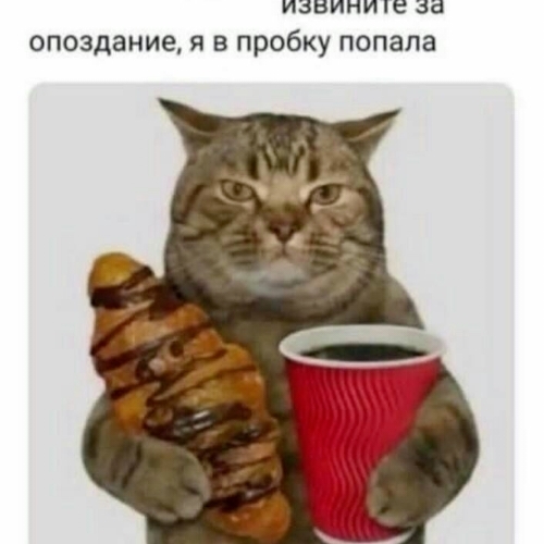 отсталая черепашка