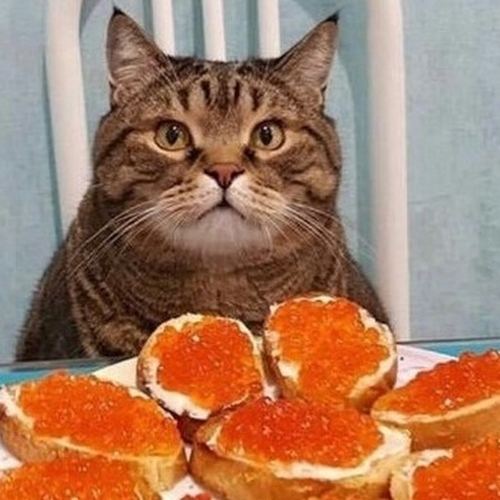 Виктория Токарева