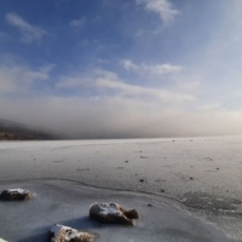 Ксения Мамина