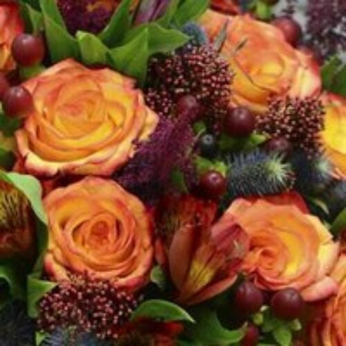 242582 Шпагина