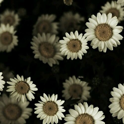 Ольга Георгиевская