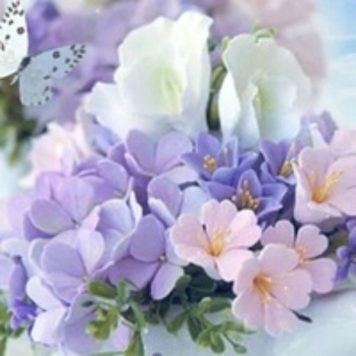 Ольга Запыленова