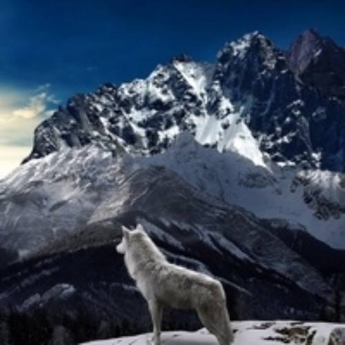 Костя Антибура