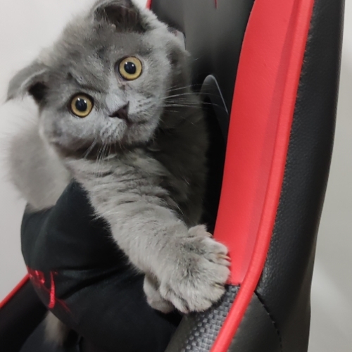 Мария Ходжаева