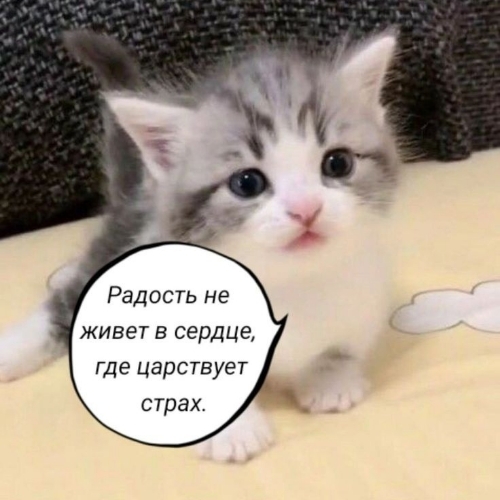 punkandfreak