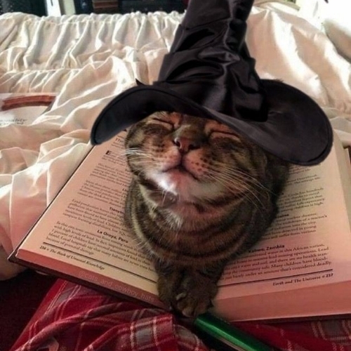 Валентина Менделева