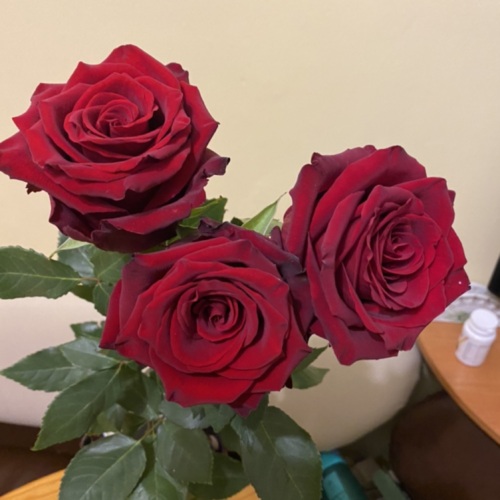 Марина