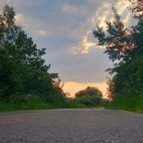 софа Гусева
