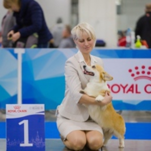 Елена Байкова