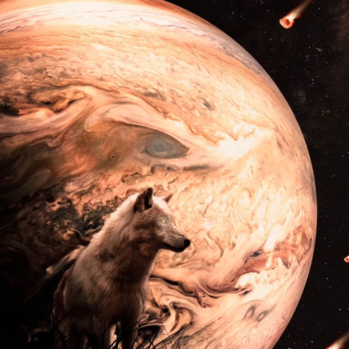 Николай Шухардин