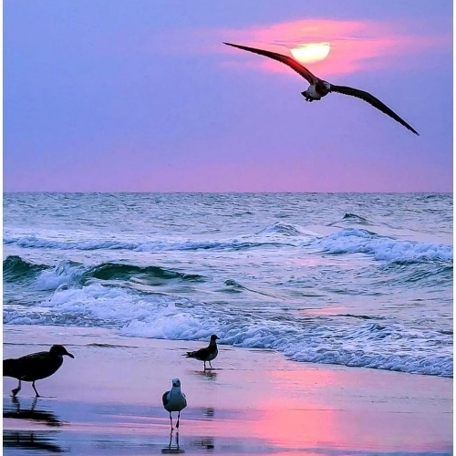 Наталья Изибадирова