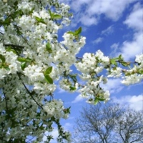 Наталия Конкина