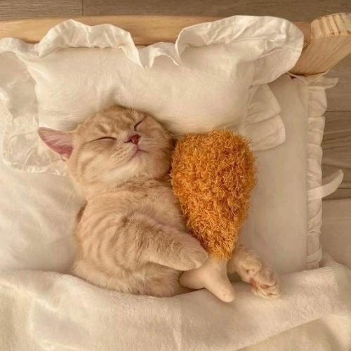 Николай Бондаренко