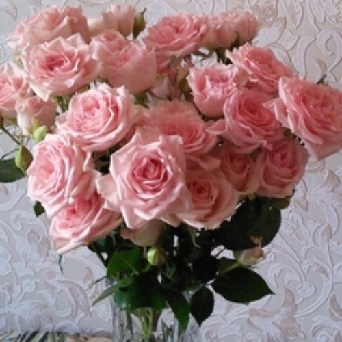 Марина Войтаник