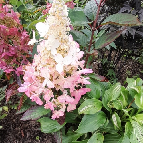 Ирина Павлова