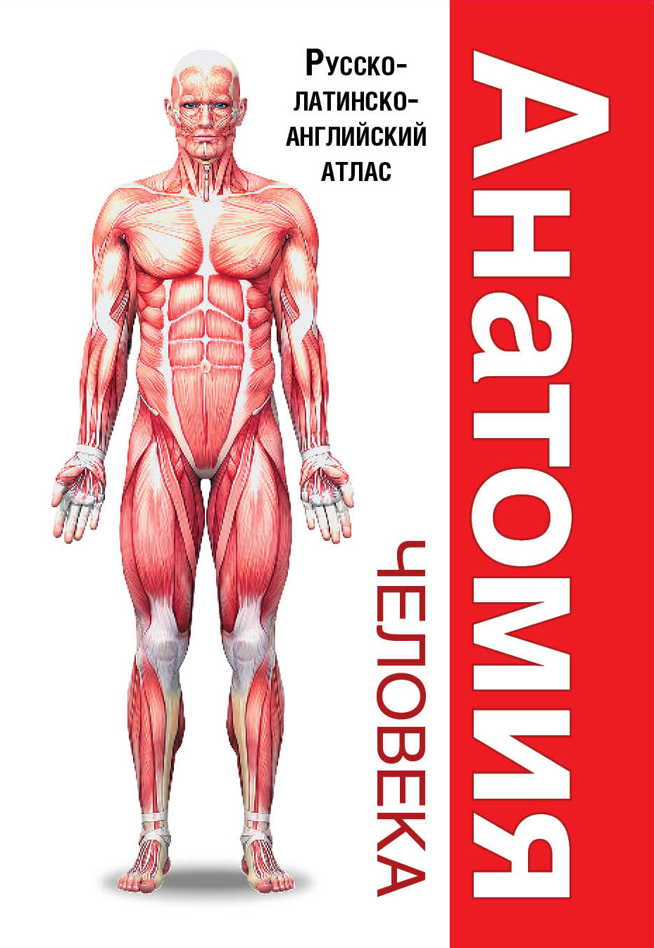 Ана мен өгей қыз арасындағы лесбиянка орысша секс Женя Огурцова жалаңаштанып, сиськилерін көрсетті