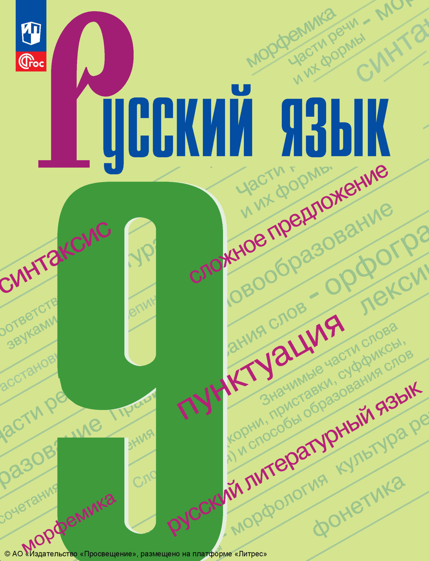 Русский язык. 9 класс» И. В. Текучёва – скачать pdf на Литрес