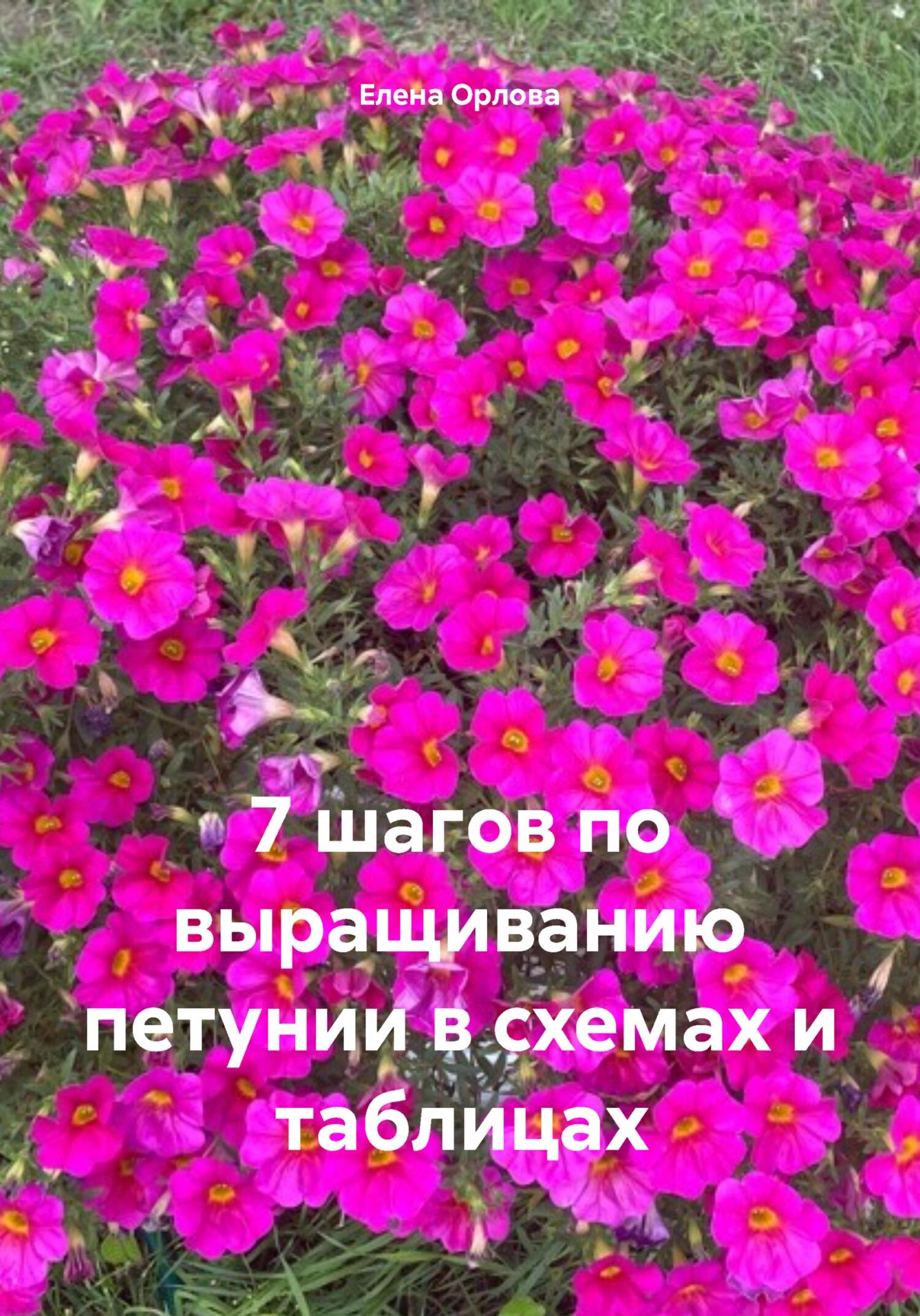 Гамак порно