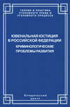 Ювенальная юстиция в Российской Федерации. Криминологические проблемы развития