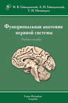 Функциональная анатомия нервной системы. Учебное пособие