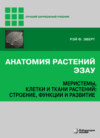 Анатомия растений Эзау. Меристемы, клетки и ткани растений: строение, функции и развитие