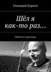 Шёл я как-то раз… Повести и рассказы