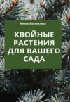 Роскошные хвойные. Виды, посадка, уход