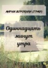 Одиннадцать минут утра