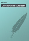 Durchs wilde Kurdistan