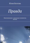 Правда. Напоминание о реальных моментах жизни