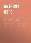 A Servant of the Public