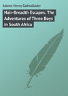 Hair-Breadth Escapes: The Adventures of Three Boys in South Africa