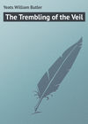 The Trembling of the Veil