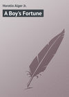 A Boy's Fortune