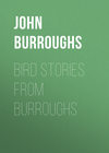 Bird Stories from Burroughs