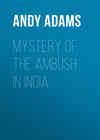 Mystery of the Ambush in India